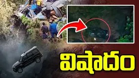 నదీ లోయలోకి దూసుకెళ్లిన స్కార్పియో వాహనం.. 8 మంది దుర్మరణం