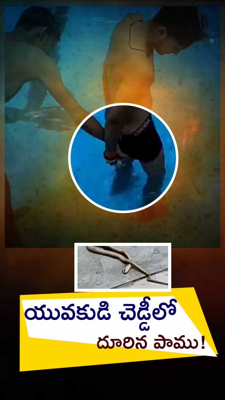 ఉత్తర ప్రదేశ్: స్విమ్మింగ్‌పూల్‌లో షాకింగ్ ఘటన!