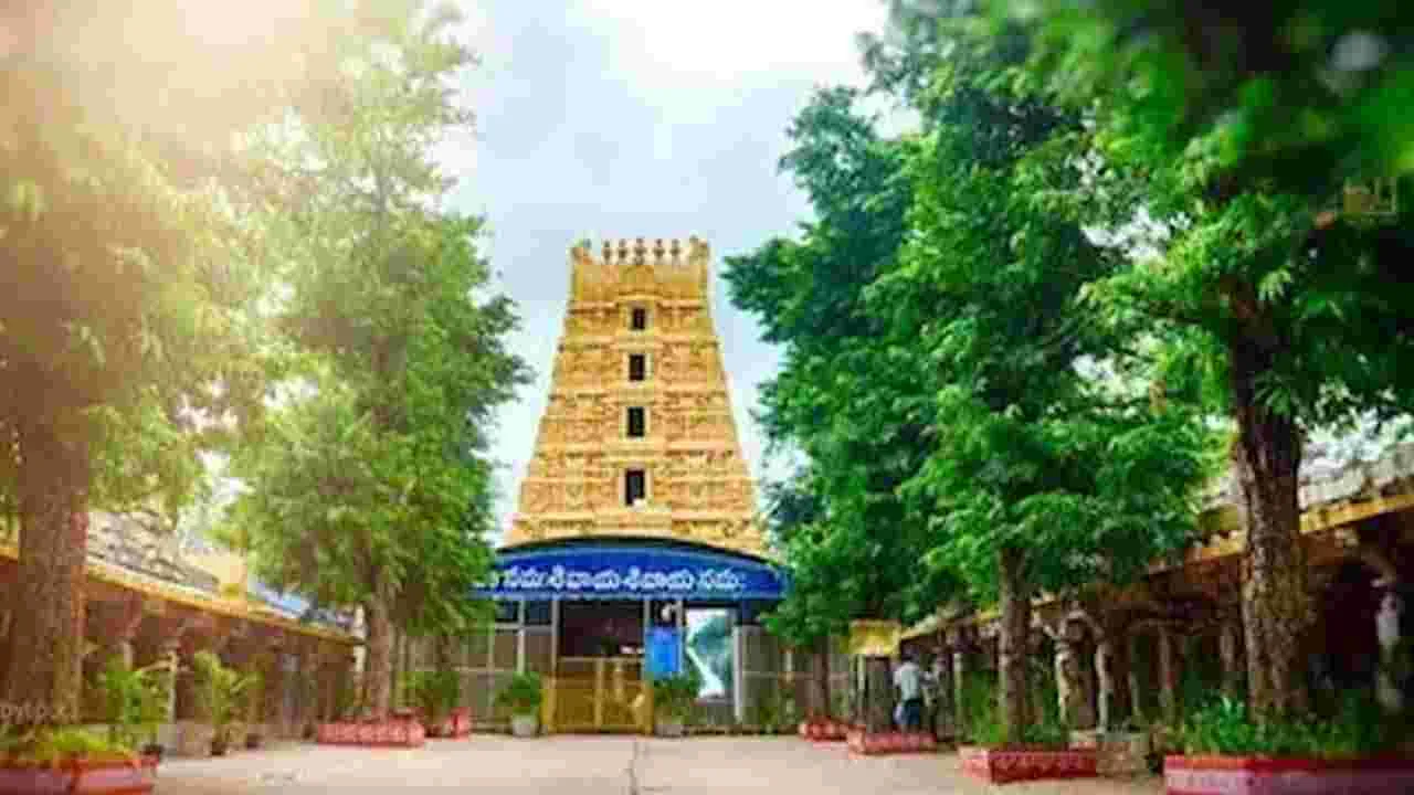 కాటేజీ అప్పగించని వైసీపీ ఎమ్మెల్యే.. స్పందించిన శ్రీశైలం దేవస్థానం సభ్యుడు