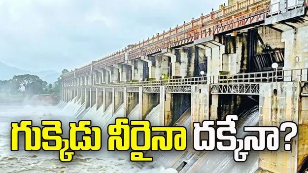 చినుకు రాలక.. వరదలూ రాక విలవిల..