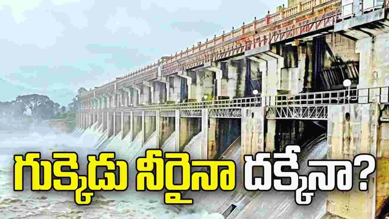 చినుకు రాలక.. వరదలూ రాక విలవిల..