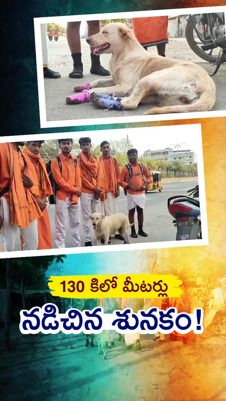 దీక్షాపరులతో కలిసి శునకం 5 రోజుల అలుపెరగని ప్రయాణం!