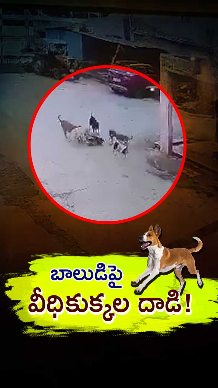మూడేళ్ల బాలుడిపై వీధికుక్కల భీకర దాడి!