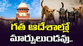 వీధి కుక్కలు.. ప్రజల ప్రాణాల భద్రతా అంశంగా పరిగణించండి: సుప్రీంకోర్టు