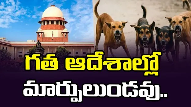 వీధి కుక్కలు.. ప్రజల ప్రాణాల భద్రతా అంశంగా పరిగణించండి: సుప్రీంకోర్టు