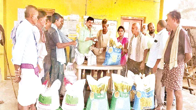 వరి విత్తనాలు సిద్ధం!