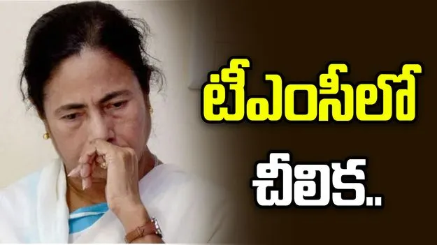 టీఎంసీలో చీలిక.. లేఖపై 19 మంది ఎంపీల సంతకాలు?