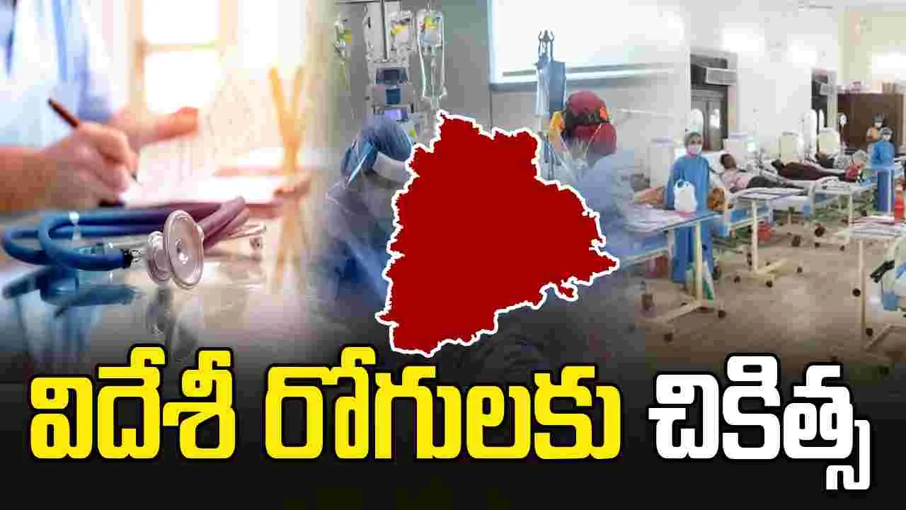 సర్కారీ దవాఖానాల్లో విదేశీ రోగులకు చికిత్స