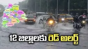 రాష్ట్ర వ్యాప్తంగా వర్షాలు.. 12 జిల్లాలకు రెడ్‌ అలర్ట్‌ జారీ