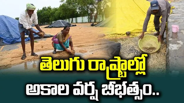 తెలుగు రాష్ట్రాల్లో వర్ష బీభత్సం.. రైతులకు భారీ నష్టం