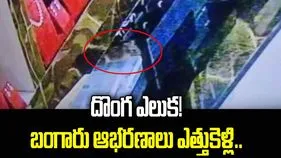 దొంగ ఎలుక!