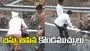 నీళ్ల కోసం బస్సు ఆపిన కొండముచ్చులు.. వైరల్‌గా మారిన వీడియో..