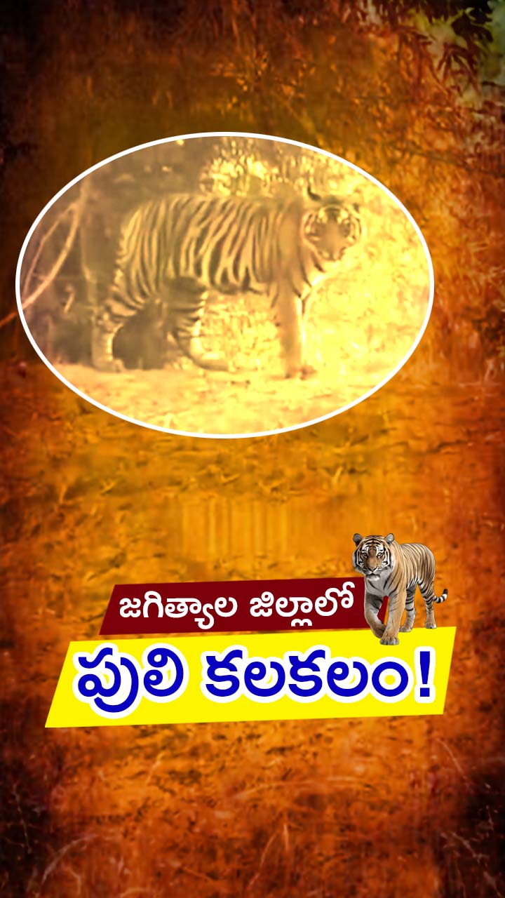 కొండగట్టు పరిసరాల్లో హై అలర్ట్!