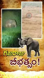 ABN Andhrajyothy Telugu Short News Video - Quick News Updates in 60 Seconds