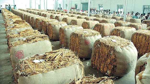 నాల్గోవంతు రిటన్‌