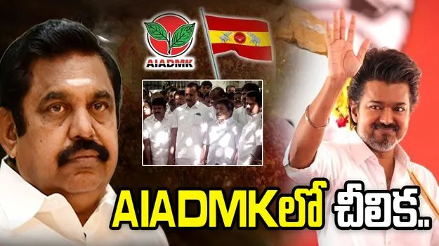 నిలువునా చీలిన AIADMK..  విజయ్‌కు మద్దతు ప్రకటించిన రెబల్ వర్గం!