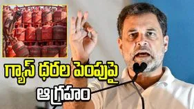 నేను ముందే చెప్పా.. కమర్షియల్ గ్యాస్ ధర పెంపుపై రాహుల్ గాంధీ