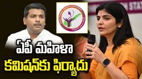 గుడివాడ అమర్‌నాథ్ వ్యాఖ్యలపై ఏపీ మహిళా కమిషన్‌కు ఫిర్యాదు