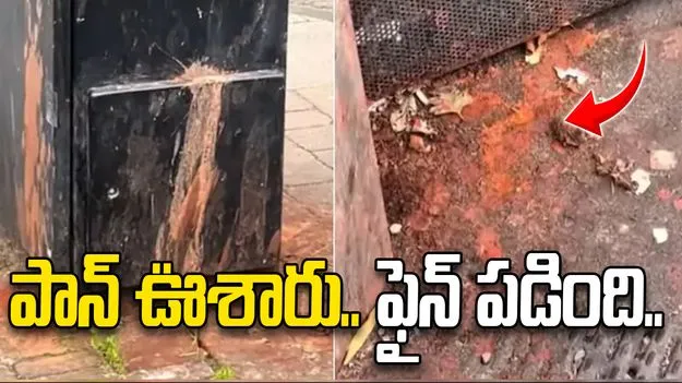 పబ్లిక్ ప్లేస్‌లో గుట్కా ఊసిన ఇండియన్స్.. భారీ ఫైన్ వేసిన కోర్టు