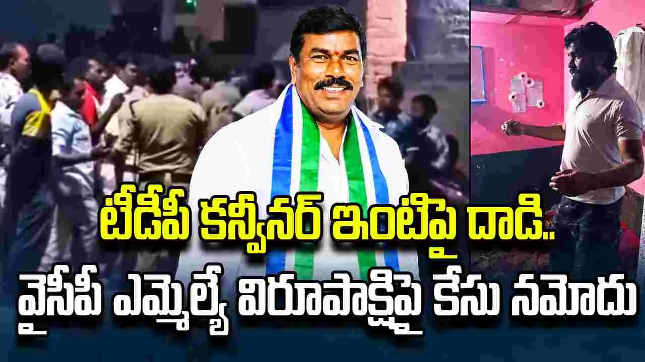 టీడీపీ కన్వీనర్ ఇంటిపై దాడి.. వైసీపీ ఎమ్మెల్యే విరూపాక్షిపై కేసు నమోదు