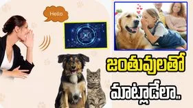 వావ్.. ఏఐతో జంతువుల భాషను ఛేదించే ప్రయత్నాలు