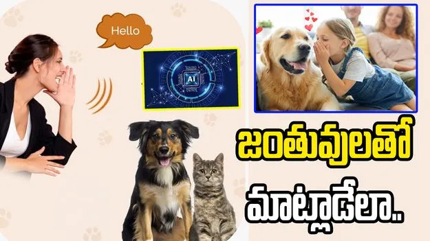 వావ్.. ఏఐతో జంతువుల భాషను ఛేదించే ప్రయత్నాలు