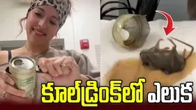 కూల్‌డ్రింక్‌లో ఎలుక.. టిన్‌ను కోసి చూసి షాక్.. 