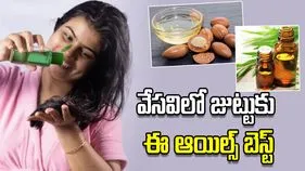 వేసవిలో జుట్టుకు ఈ ఆయిల్స్ బెస్ట్