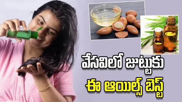 వేసవిలో జుట్టుకు ఈ ఆయిల్స్ బెస్ట్