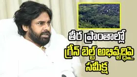 కోస్తాతీర ప్రాంతాల్లో గ్రీన్‌ బెల్ట్ అభివృద్ధిపై డిప్యూటీ సీఎం పవన్ సమీక్ష