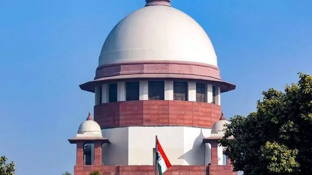 గర్భాన్ని కొనసాగించాలని బలవంతం చేయలేం