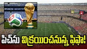 ఫిఫా ప్రపంచ కప్ ఫైనల్: విక్రయానికి మ్యాచ్ టర్ఫ్.. ధర తెలిస్తే షాకవ్వాల్సిందే!