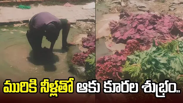 మురికి నీళ్లలో ఆకు కూరల్ని కడిగిన వ్యాపారి.. మరీ ఇంత దారుణమా..