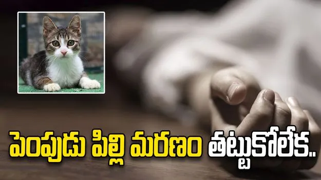 పెంపుడు పిల్లి మరణం.. ఆ బాధ తట్టుకోలేకపోయిన యువతి..