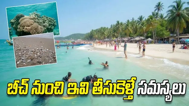 బీచ్ ట్రిప్‌లో జాగ్రత్త! ఈ వస్తువులు తీసుకుంటే పర్యావరణానికి ముప్పు
