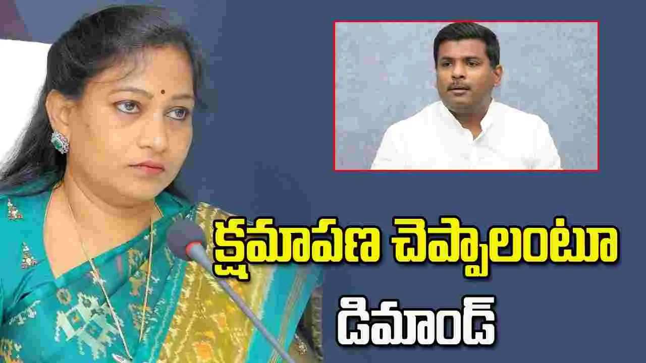 హోంమంత్రి అనితపై వ్యాఖ్యలు.. అమర్నాథ్ క్షమాపణ చెప్పాలంటూ డిమాండ్లు