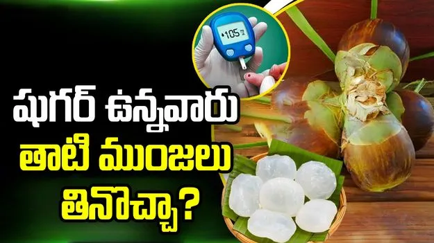 డయాబెటిస్ ఉన్నవారు తాటి ముంజలు తినొచ్చా?