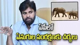 వన్యప్రాణుల సంరక్షణ ప్రజా ఉద్యమంగా మారాలి: పవన్ కల్యాణ్
