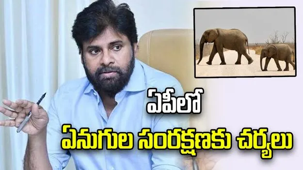 వన్యప్రాణుల సంరక్షణ ప్రజా ఉద్యమంగా మారాలి: పవన్ కల్యాణ్