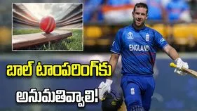 బాల్ టాంపరింగ్‌ను చట్టబద్ధం చేయాలి.. ఇంగ్లండ్ మాజీ క్రికెటర్ సంచలన వ్యాఖ్యలు