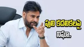 పోలవరం జిల్లాలో పులిని బంధించేందుకు కొనసాగుతున్న ఆపరేషన్