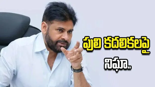 పోలవరం జిల్లాలో పులిని బంధించేందుకు కొనసాగుతున్న ఆపరేషన్