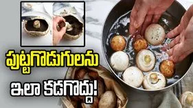 పుట్టగొడుగులు కడిగే ముందు ఇది తెలుసుకోండి