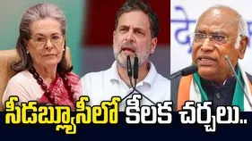 సీడబ్ల్యూసీలో పార్లమెంటు వ్యూహాలపై అగ్ర నేతల చర్చ