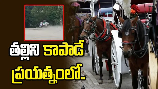 అమెరికాలో భారతీయ యువకుడి మృతి.. తల్లిని కాపాడే ప్రయత్నంలో.. 