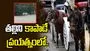 అమెరికాలో భారతీయ యువకుడి మృతి.. తల్లిని కాపాడే ప్రయత్నంలో.. 