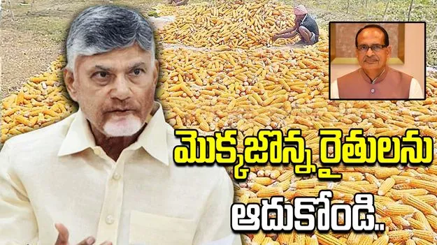 మొక్కజొన్న రైతులను ఆదుకోవాలంటూ కేంద్ర మంత్రికి సీఎం చంద్రబాబు లేఖ