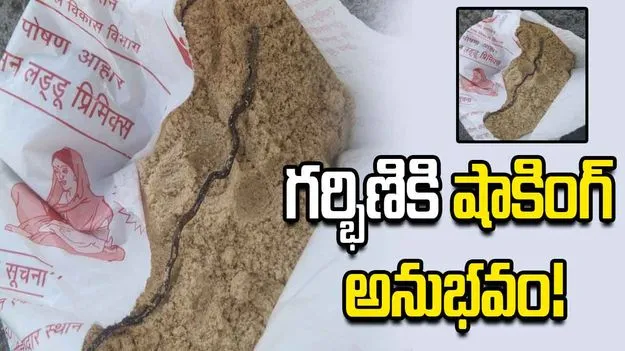 అంగన్‌వాడీ నిర్లక్ష్యం.. గర్భిణికి ఇచ్చిన పోషకాహారంలో చనిపోయిన పాముపిల్ల.!