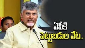 సింగపూర్ పర్యటన.. ప్రముఖ సంస్థల ప్రతినిధులతో సీఎం చంద్రబాబు వరుస సమావేశాలు
