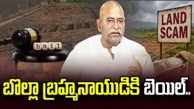 బొల్లా బ్రహ్మనాయుడికి షరతులతో కూడిన బెయిల్ మంజూరు